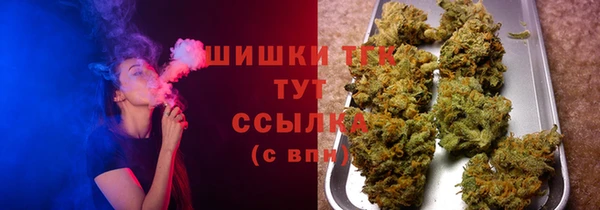 хмурый Горно-Алтайск