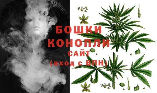 бутират Горнозаводск