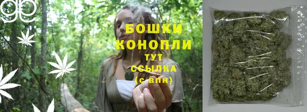 хмурый Горно-Алтайск