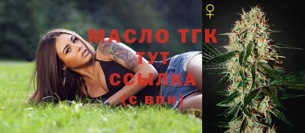 хмурый Горно-Алтайск