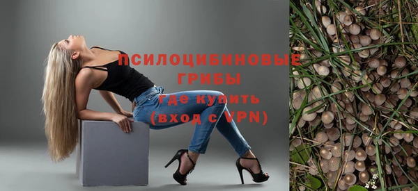 бутират Горнозаводск