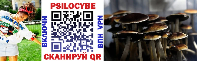Галлюциногенные грибы Psilocybe  Купить где  Лениногорск 