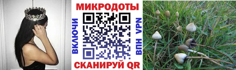 Галлюциногенные грибы Cubensis Лениногорск