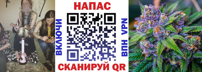 Купить где  Лениногорск  Конопля Bruce Banner 